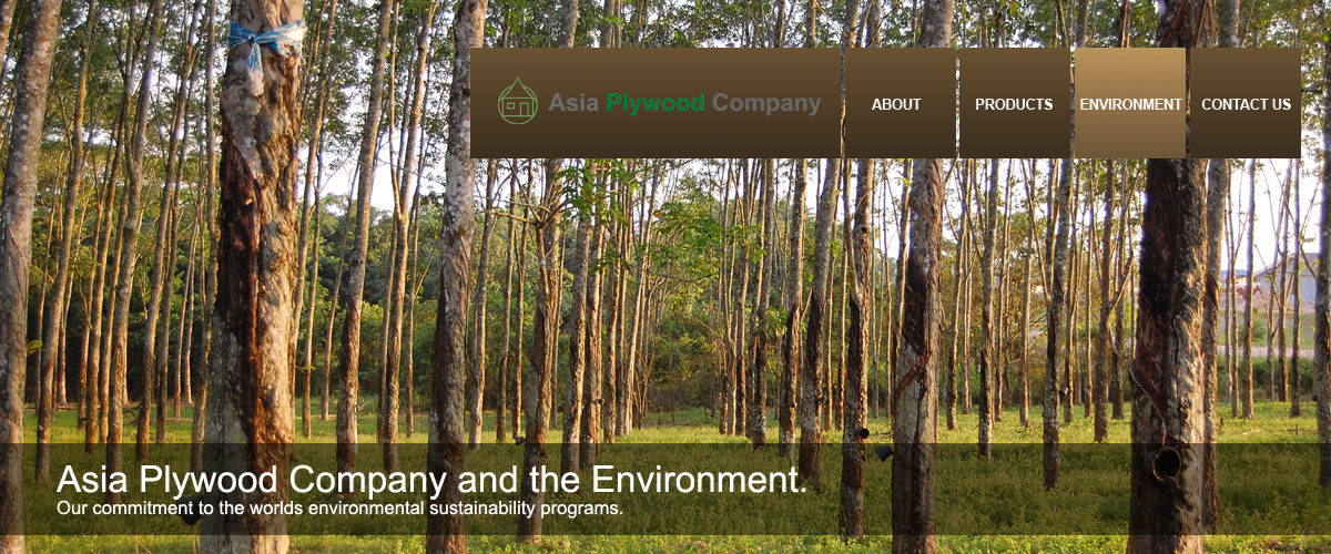 Asia Plywood Company -
        Environment
