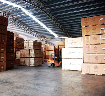 Timber Logging & Trading