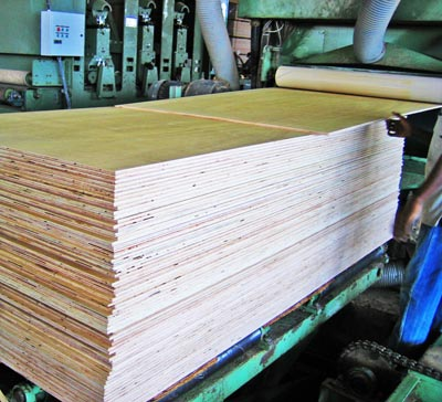 WBP CE2+ Plywood