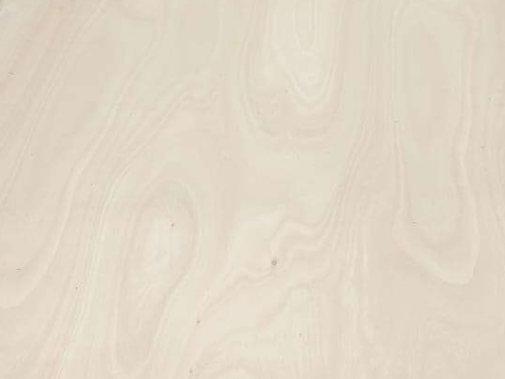 Responsible Sourced Plywood